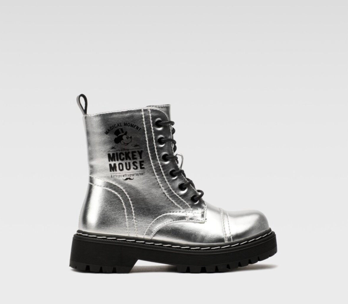 cs5587-13dstc